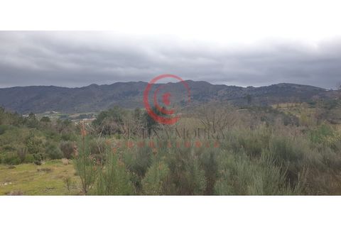 Helårsgrund i Chaves, Vila Real, Chaves - € 29.000 | Ref: CM01-0086 - foto 3