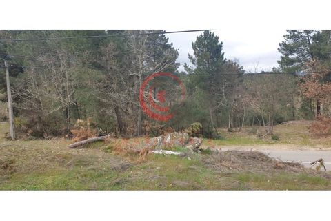Helårsgrund i Chaves, Vila Real, Chaves - € 29.000 | Ref: CM01-0086 - foto 5