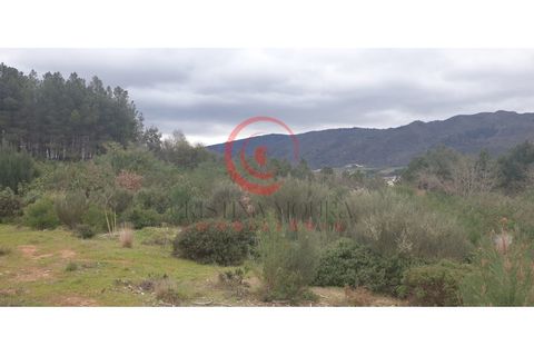 Helårsgrund i Chaves, Vila Real, Chaves - € 29.000 | Ref: CM01-0086 - foto 6
