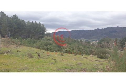 Helårsgrund i Chaves, Vila Real, Chaves - € 29.000 | Ref: CM01-0086 - foto 9