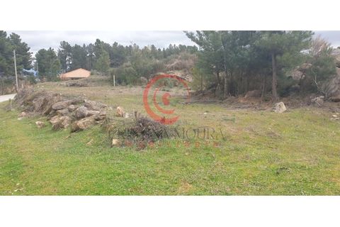 Helårsgrund i Chaves, Vila Real, Chaves - € 29.000 | Ref: CM01-0086 - foto 10