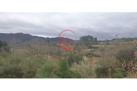 Helårsgrund i Chaves, Vila Real, Chaves - € 29.000 | Ref: CM01-0086 - foto 11