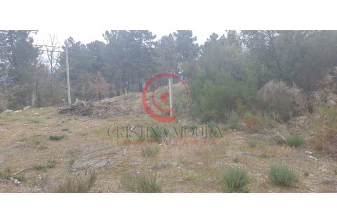 Helårsgrund i Chaves, Vila Real, Chaves - € 29.000 | Ref: CM01-0086 - foto 12