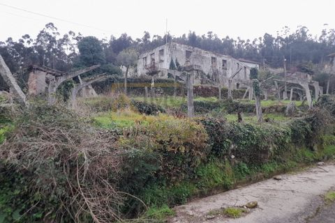 Ruïna a Bela, Viana do Castelo, Bela - € 65.000 | Ref: REF275 - foto 3