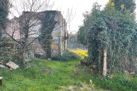 Ruïna a Bela, Viana do Castelo, Bela - € 65.000 | Ref: REF275 - foto 4