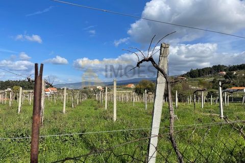 Helårsgrund i Moncao, Viana do Castelo, Moncao - € 50.000 | Ref: REF279 - foto 1