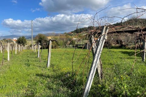 Helårsgrund i Moncao, Viana do Castelo, Moncao - € 50.000 | Ref: REF279 - foto 2
