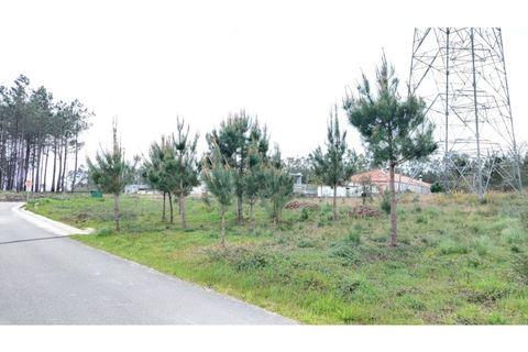 Helårsgrund i Maxial e Monte Redondo, Lisbon, Maxial e Monte Redondo - € 20.000 | Ref: mg1518 - foto 2