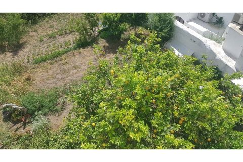 Helårsgrund i Tavira, Faro, Tavira - € 850.000 | Ref: SÒL_50833 - foto 21