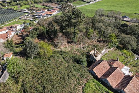 Helårsgrund i Pedroso, Porto, Pedroso - € 179.000 | Ref: ZMPT556307 - foto 11