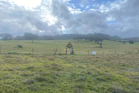 Helårsgrund i Ourique, Beja, Ourique - € 530.000 | Ref: BC584 - foto 2