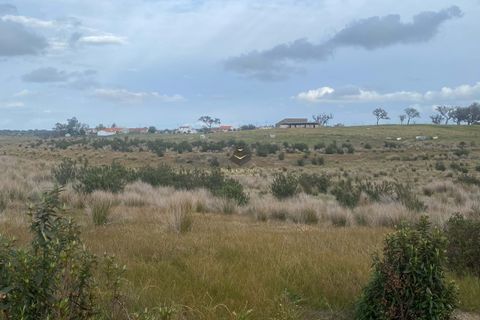 Helårsgrund i Ourique, Beja, Ourique - € 530.000 | Ref: BC584 - foto 4