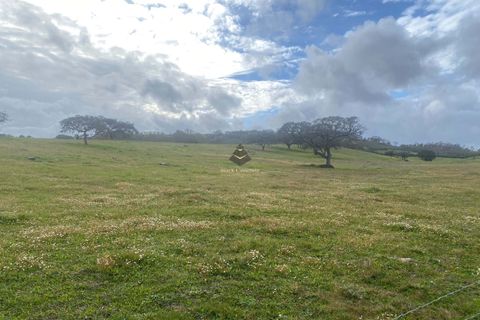 Helårsgrund i Ourique, Beja, Ourique - € 530.000 | Ref: BC584 - foto 5