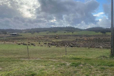 Helårsgrund i Ourique, Beja, Ourique - € 530.000 | Ref: BC584 - foto 9