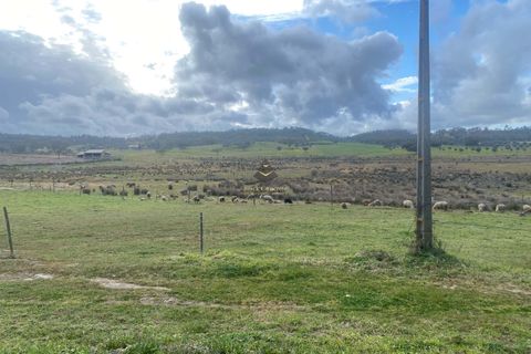 Helårsgrund i Ourique, Beja, Ourique - € 530.000 | Ref: BC584 - foto 10