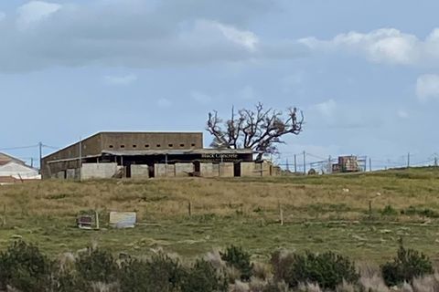 Helårsgrund i Ourique, Beja, Ourique - € 530.000 | Ref: BC584 - foto 16