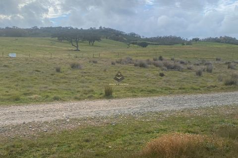 Helårsgrund i Ourique, Beja, Ourique - € 99.000 | Ref: BC585 - foto 3