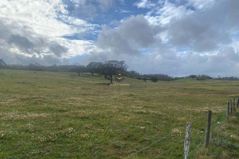 Helårsgrund i Ourique, Beja, Ourique - € 99.000 | Ref: BC585 - foto 4