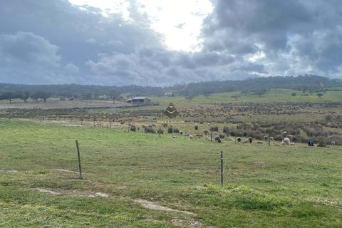 Helårsgrund i Ourique, Beja, Ourique - € 99.000 | Ref: BC585 - foto 10