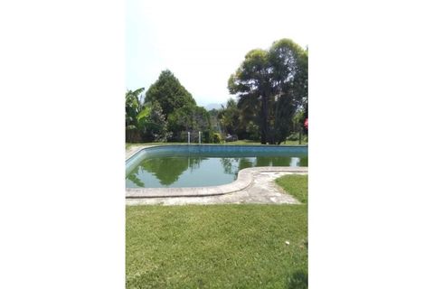 Farm i Ponte de Lima, Viana do Castelo, Ponte de Lima - € 950.000 | Ref: MDS3791 - foto 22