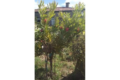 Farm i Ponte de Lima, Viana do Castelo, Ponte de Lima - € 950.000 | Ref: MDS3791 - foto 23