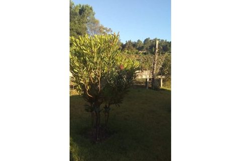 Farm i Ponte de Lima, Viana do Castelo, Ponte de Lima - € 950.000 | Ref: MDS3791 - foto 28