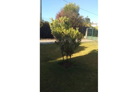 Farm i Ponte de Lima, Viana do Castelo, Ponte de Lima - € 950.000 | Ref: MDS3791 - foto 29