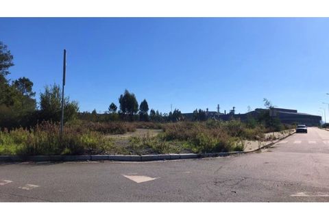 Helårsgrund i Valongo, Porto, Valongo - € 1.250.000 | Ref: RO1768 - foto 4