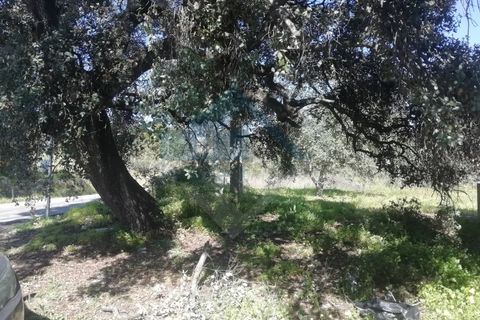 Villa i Estoi, Faro, Estoi - € 350.000 | Ref: 2303-028 - foto 3
