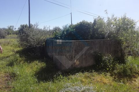 Villa i Estoi, Faro, Estoi - € 350.000 | Ref: 2303-028 - foto 4