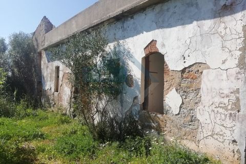 Villa i Estoi, Faro, Estoi - € 350.000 | Ref: 2303-028 - foto 5