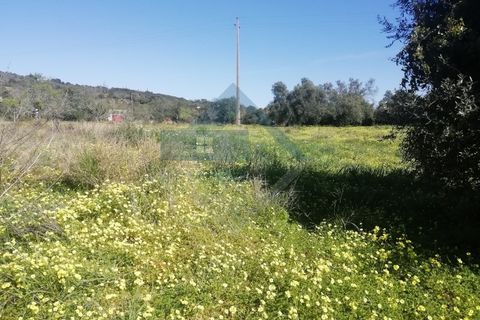 Villa i Estoi, Faro, Estoi - € 350.000 | Ref: 2303-028 - foto 11