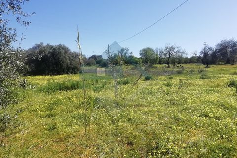 Villa i Estoi, Faro, Estoi - € 350.000 | Ref: 2303-028 - foto 12