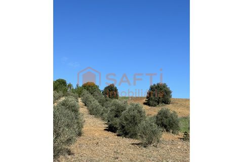 Helårsgrund i Rio Maior, Santarem, Rio Maior - € 20.000 | Ref: SAFTI:003092 - foto 2
