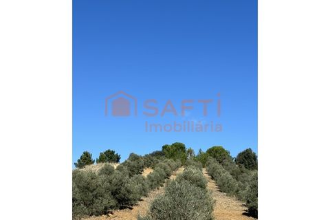 Helårsgrund i Rio Maior, Santarem, Rio Maior - € 20.000 | Ref: SAFTI:003092 - foto 3