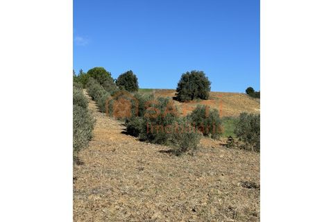 Helårsgrund i Rio Maior, Santarem, Rio Maior - € 20.000 | Ref: SAFTI:003092 - foto 4