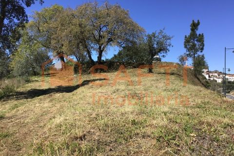 Terra a Sardoal, Santarem, Sardoal - € 50.000 | Ref: SAFTI:003077 - foto 7