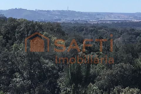 Terra a Sardoal, Santarem, Sardoal - € 50.000 | Ref: SAFTI:003077 - foto 9
