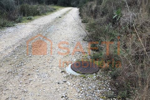 Terra a Sardoal, Santarem, Sardoal - € 50.000 | Ref: SAFTI:003077 - foto 10