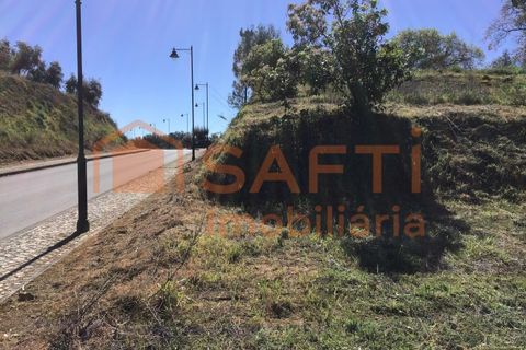 Terra a Sardoal, Santarem, Sardoal - € 50.000 | Ref: SAFTI:003077 - foto 11