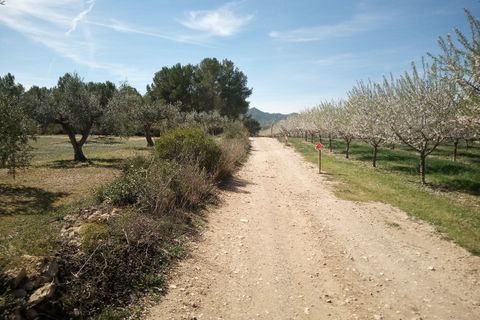 Finca i Ginestar, Tarragona, Ginestar - € 9.750 | Ref: 841 Rafa - foto 13