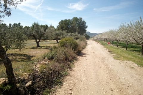Finca i Ginestar, Tarragona, Ginestar - € 9.750 | Ref: 841 Rafa - foto 16