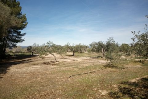 Finca i Ginestar, Tarragona, Ginestar - € 9.750 | Ref: 841 Rafa - foto 22