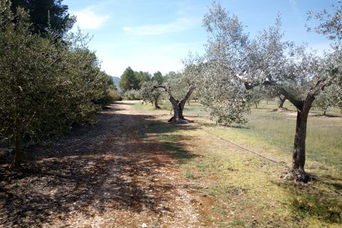 Finca i Ginestar, Tarragona, Ginestar - € 9.750 | Ref: 841 Rafa - foto 19