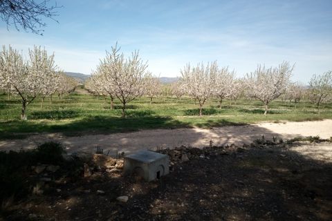 Finca i Ginestar, Tarragona, Ginestar - € 9.750 | Ref: 841 Rafa - foto 25