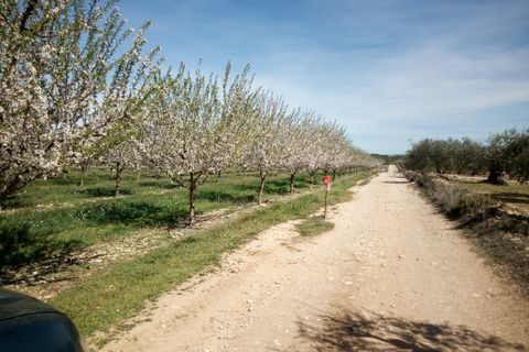 Finca i Ginestar, Tarragona, Ginestar - € 9.750 | Ref: 841 Rafa - foto 1
