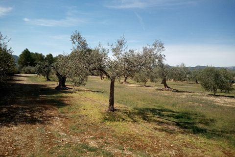 Finca i Ginestar, Tarragona, Ginestar - € 9.750 | Ref: 841 Rafa - foto 17