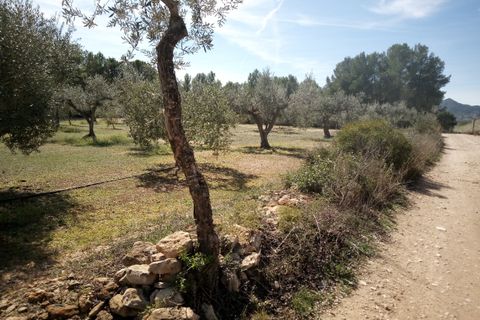 Finca i Ginestar, Tarragona, Ginestar - € 9.750 | Ref: 841 Rafa - foto 11