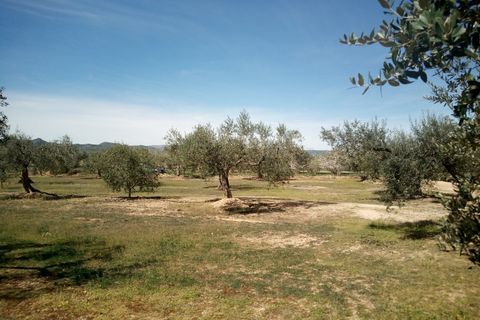Finca i Ginestar, Tarragona, Ginestar - € 9.750 | Ref: 841 Rafa - foto 15