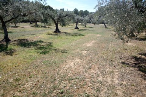 Finca i Ginestar, Tarragona, Ginestar - € 9.750 | Ref: 841 Rafa - foto 18